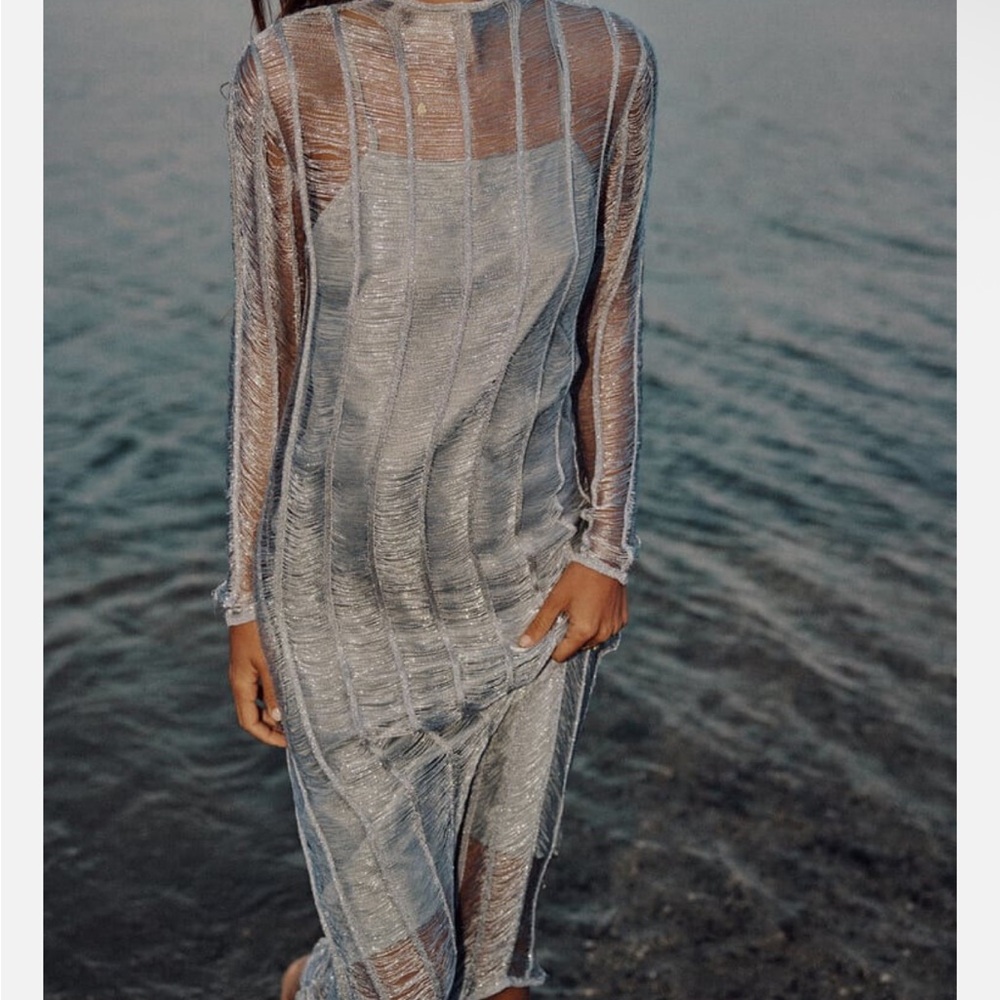 Zara Silver Sheer Midi Dress
